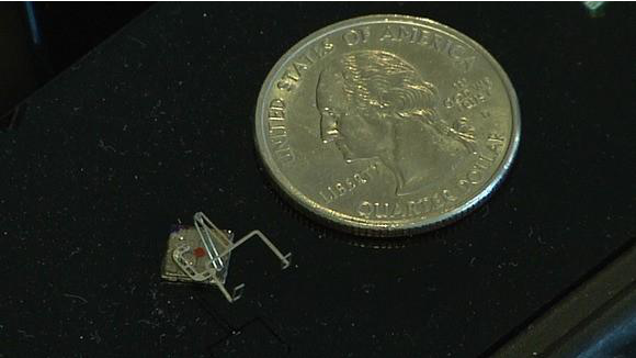 昆虫大小的微型机器人问世 可制作其他机器-磐众科技(广州)有限公司